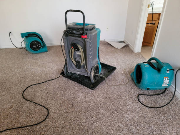 Best Fire Damage Restoration  in Cochranton, PA