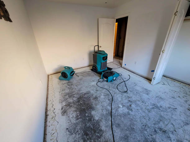Best Carpet water damage restoration  in Cochranton, PA