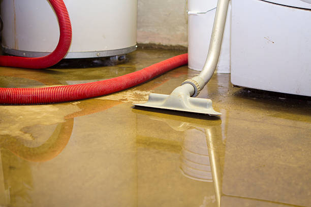 Best Ceiling water damage repair  in Cochranton, PA