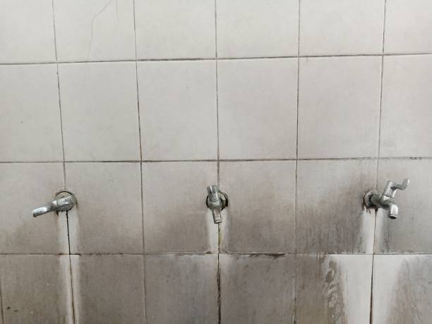 Best Water damage mitigation services  in Cochranton, PA