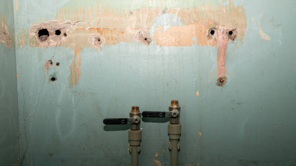 Best Residential water damage restoration  in Cochranton, PA