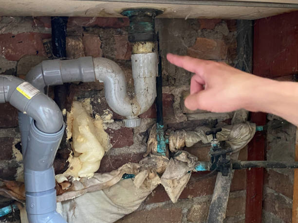 Best Water damage contractors near me  in Cochranton, PA